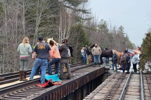 Read more about the article Firefighters Rescue Horse Stuck on Railroad Bridge