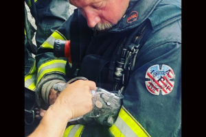 Read more about the article Auburn FD Rescues Cat from Auburn Structure Fire