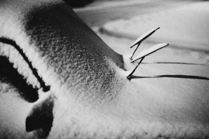 Read more about the article White Christmas: How Much Snow is in the Forecast?