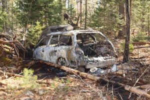 Read more about the article Arson Arrest in Dresden