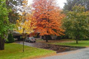 Read more about the article Maine Attorney General Warns of Paving Scams