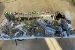 Read more about the article Three Arrested on Drug Charges in Pittsfield