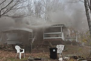 Read more about the article Cat Perishes in Building Fire at Farmington Campground