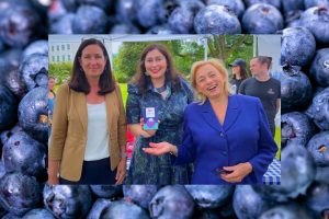 Read more about the article Maine’s Third Annual Wild Blueberry Weekend
