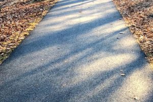 Read more about the article Man on Sex Offender List Accused of Assaulting Woman on Kennebec River Rail Trail
