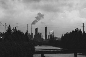 Read more about the article MDOL Providing Support to Woodland Pulp Employees