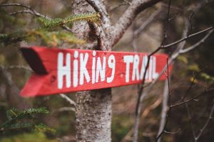 Read more about the article Governor Mills Signs Trails Bond Bill