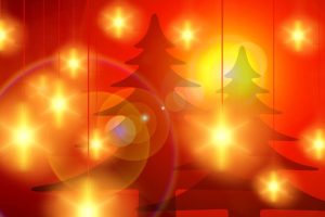 Read more about the article Christmas Tree Shops Prepare for Bankruptcy