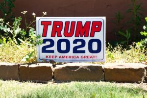 Read more about the article Donald Trump, Jr in Holden